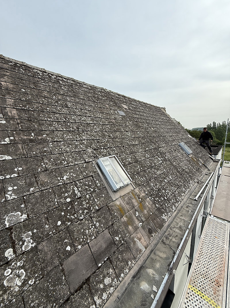 Project Image /images/projecten/dakbedekking-gooik/3.jpg
