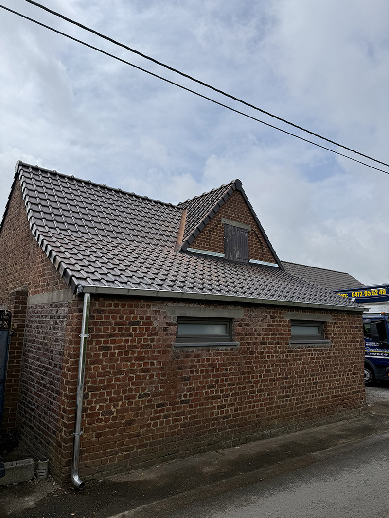Dakbedekking lierde